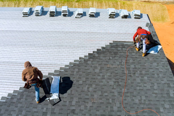 Best Roof Moss and Algae Removal  in Darrington, WA