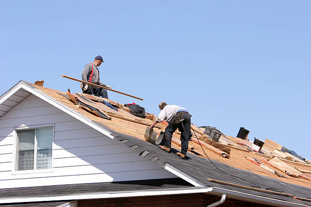 Best Metal Roofing Installation  in Darrington, WA
