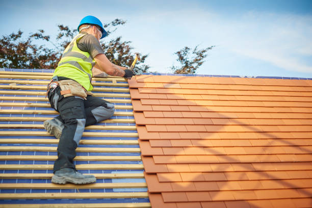 Best Roof Coating and Sealing  in Darrington, WA